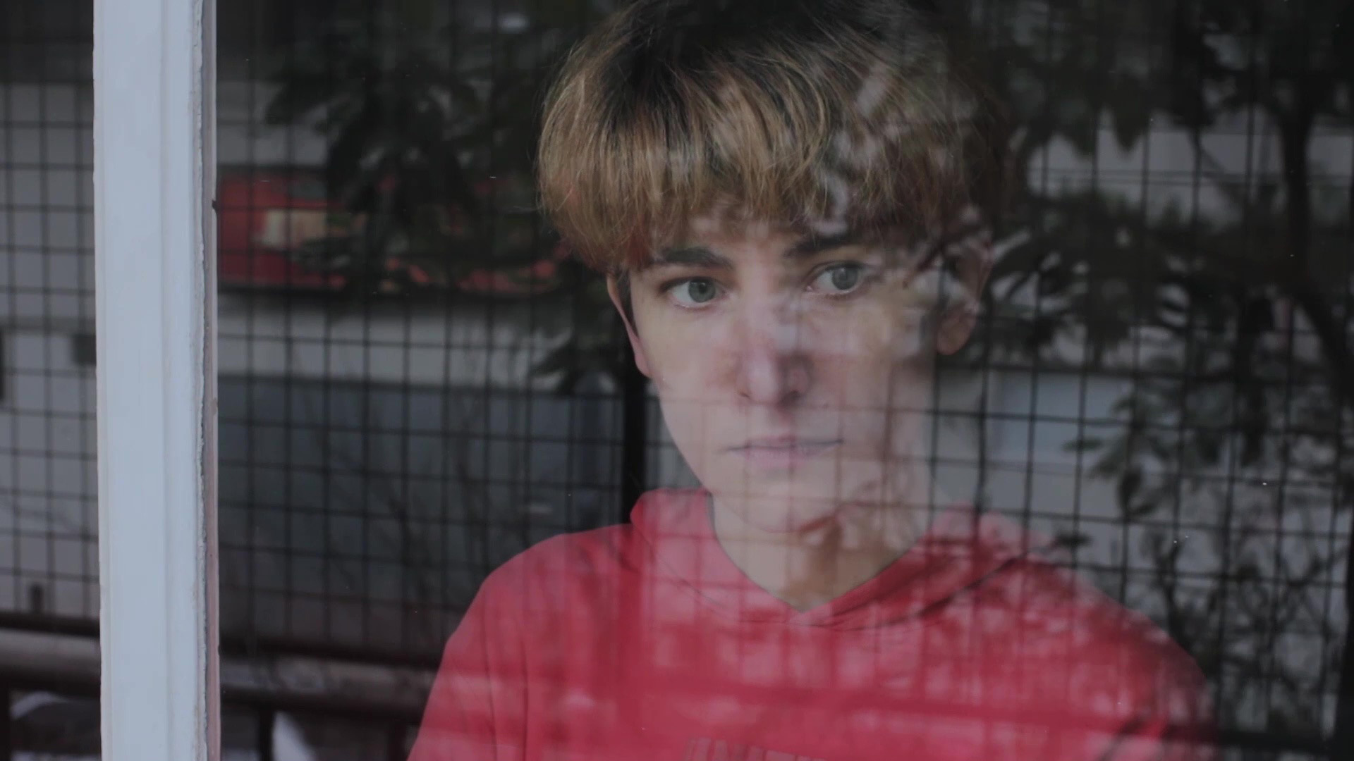 Clementina görsel 2